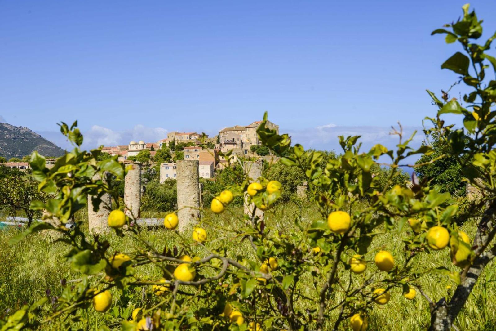 Hotel Palazzu Pigna Esterno foto
